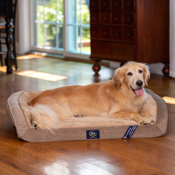 Serta, Large, Quilted Gel Memory Foam Ortho Couch Pet Bed – USA HOME GOODS